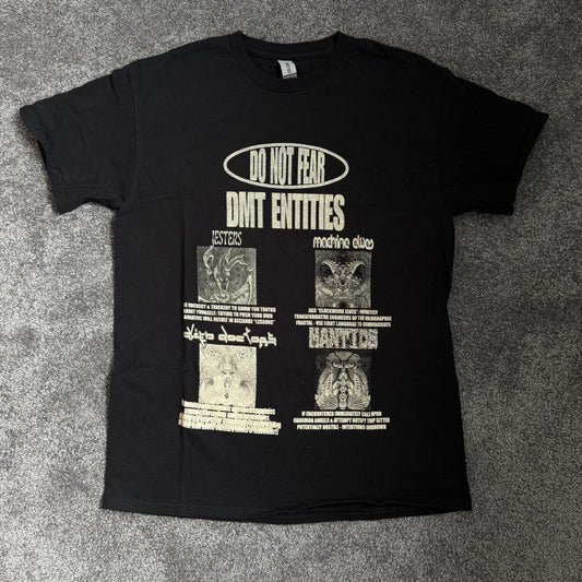 DO NOT FEAR DMT ENTITIES (M)